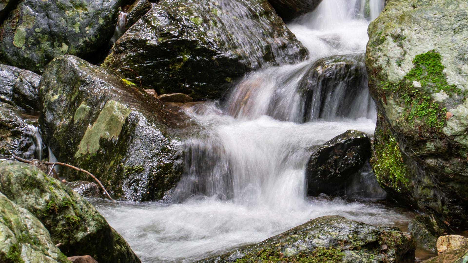 화학산(등산로)