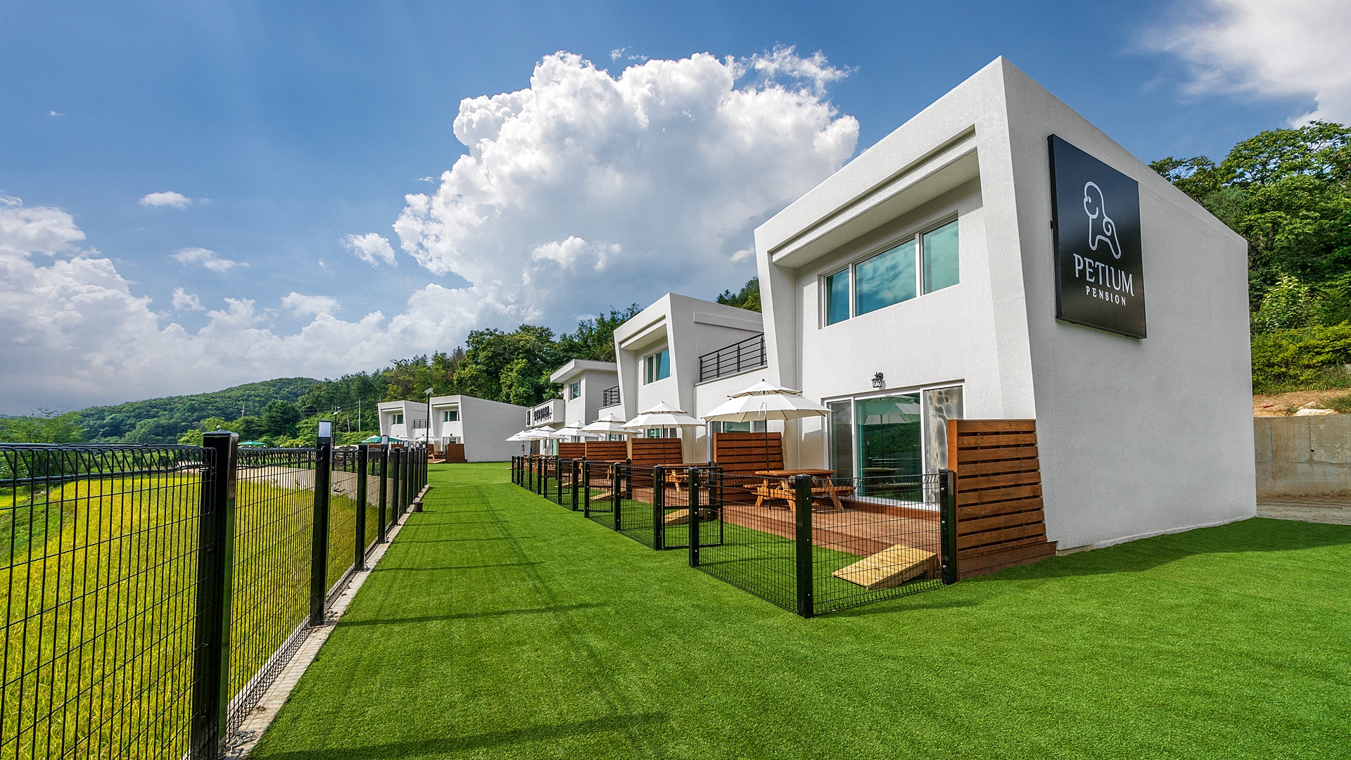 가평 애견펜션 골드스푼 프리미엄 개 풀빌라 온수 수영장이 딱이야 가평 애견펜션 골드스푼 프리미엄 개 풀빌라 온수 수영장이 딱이야